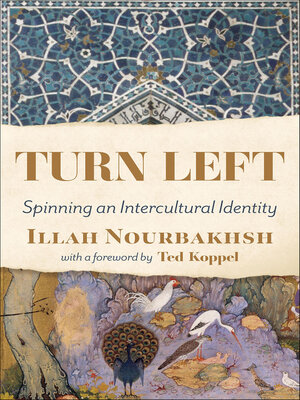 cover image of Turn Left